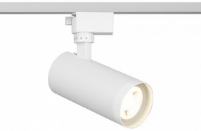 Светильник на штанге Эра  TR59 - 2040 WH в Березниках - berezniki.ok-mebel.com | фото