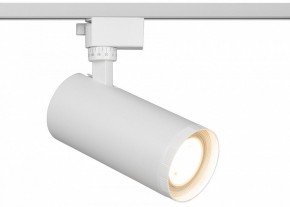 Светильник на штанге Эра  TR59 - 3030 WH в Березниках - berezniki.ok-mebel.com | фото
