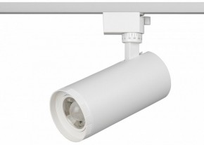 Светильник на штанге Эра  TR59 - 3030 WH в Березниках - berezniki.ok-mebel.com | фото 2