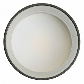 Светильник на штанге Feron ML1001 51371 в Березниках - berezniki.ok-mebel.com | фото 4
