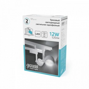 Светильник на штанге Gauss Track Light TR054 в Березниках - berezniki.ok-mebel.com | фото 5