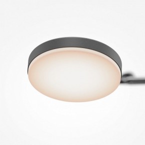 Светильник на штанге Maytoni Fad MOD070CL-L15B3K1 в Березниках - berezniki.ok-mebel.com | фото 7