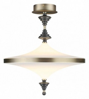 Светильник на штанге Odeon Light Ula 5404/43CL в Березниках - berezniki.ok-mebel.com | фото 2