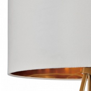 Торшер Lumion Tapioka 8077/1F в Березниках - berezniki.ok-mebel.com | фото 6