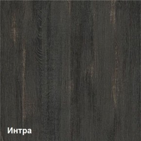 Трувор Шкаф 13.204.01 в Березниках - berezniki.ok-mebel.com | фото 3